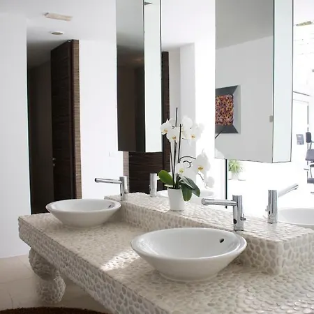 白色酒店 4* 维耶斯泰