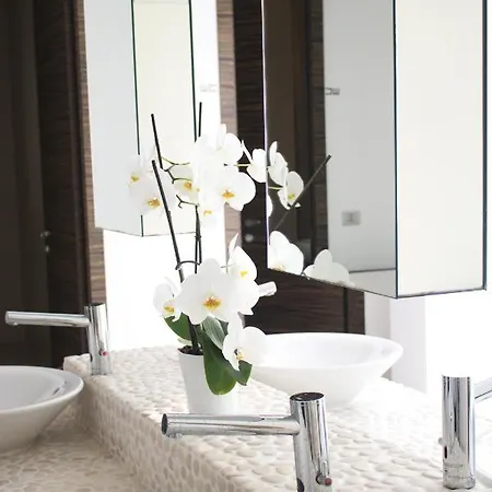 White 4* 비에스테