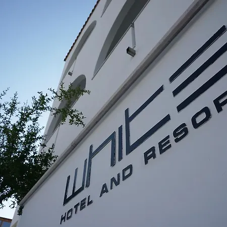 White Hotell 4*